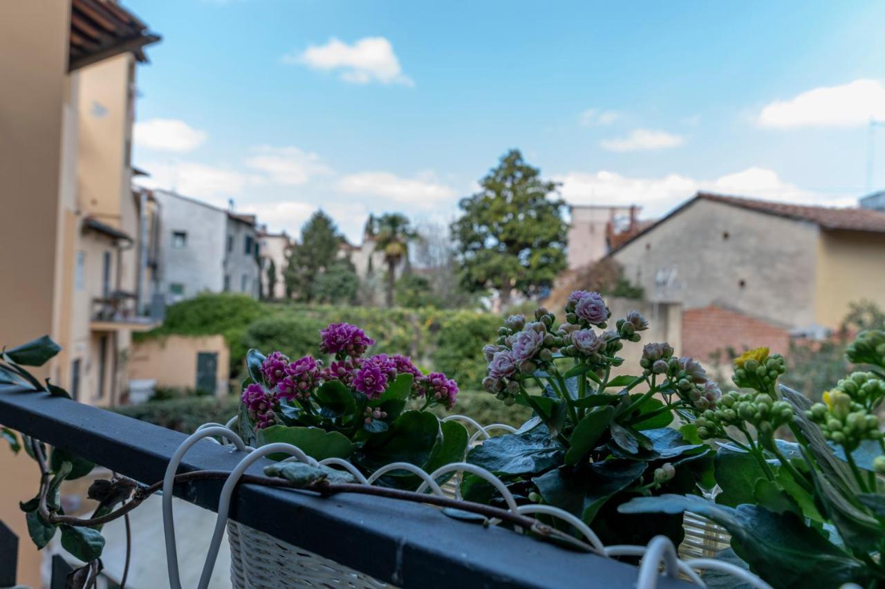 La Lu Cozy Rooms 2 Pisa Exteriör bild